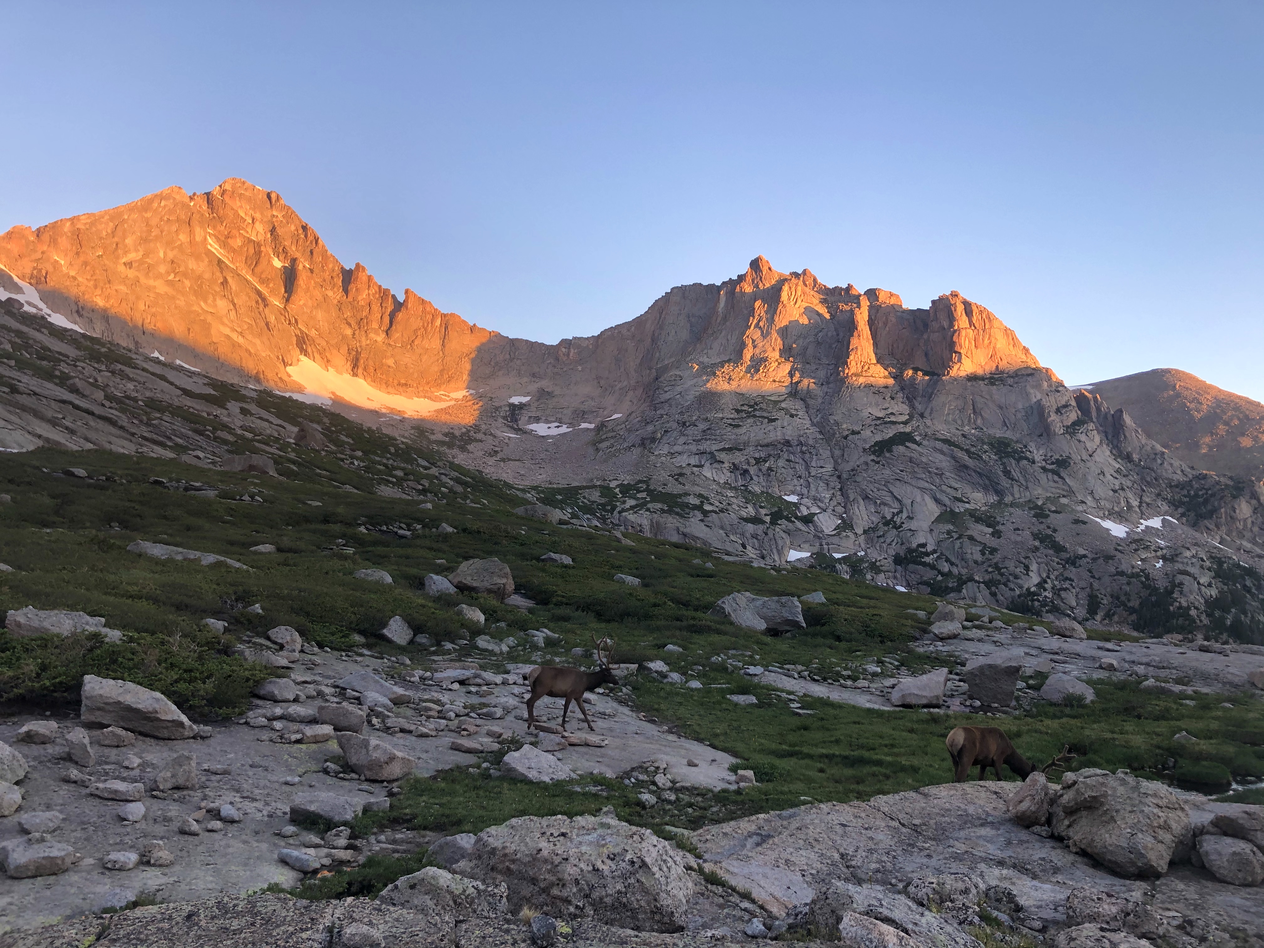 Elks with McHenrys and Arrohead peaks at Sunrise